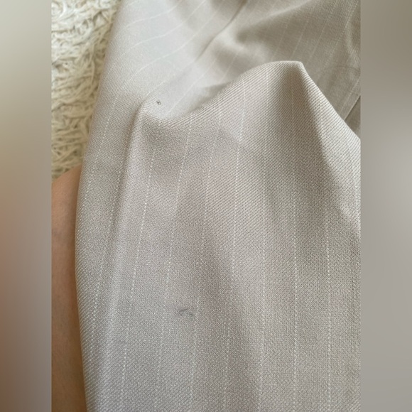 Aritzia Babaton Pleated Pant - Picture 10 of 10